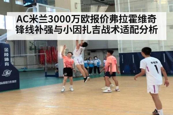AC米兰3000万欧报价弗拉霍维奇锋线补强与小因扎吉战术适配分析
